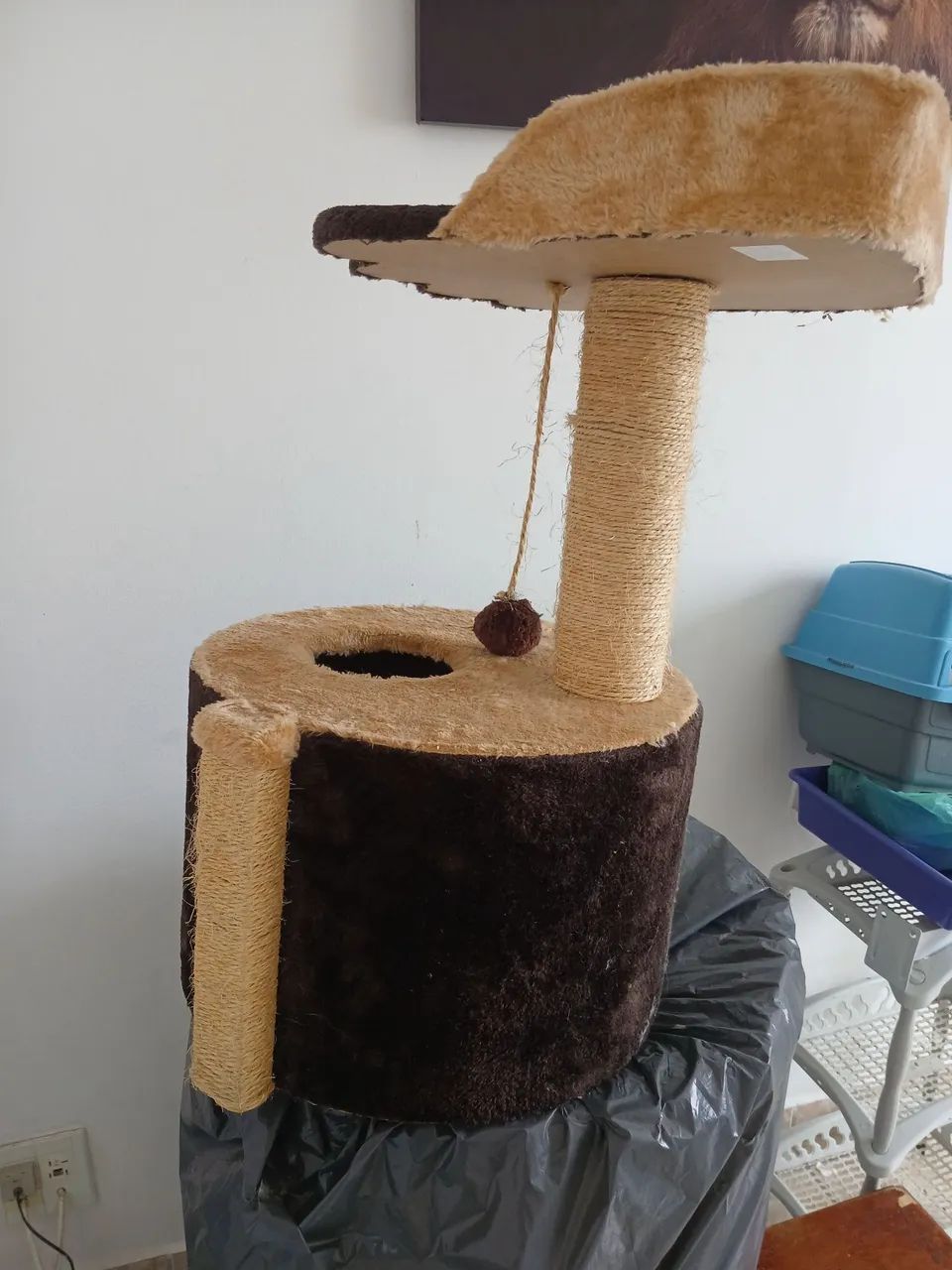 Casa de gatos em perfeito estado - Foto 2