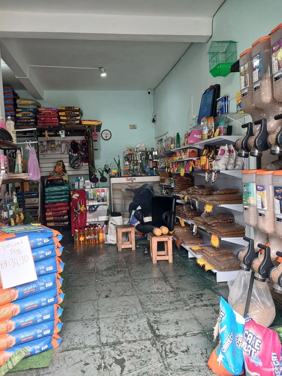 Passo ponto pet shop - Foto 3