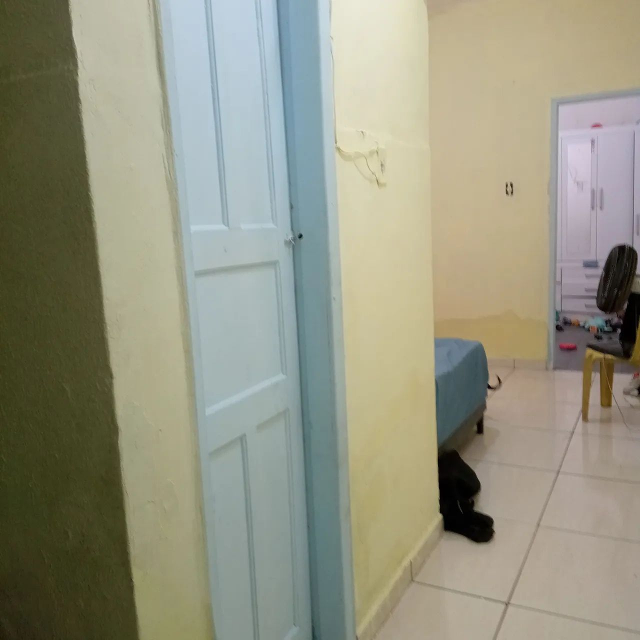 Pintor profissional 