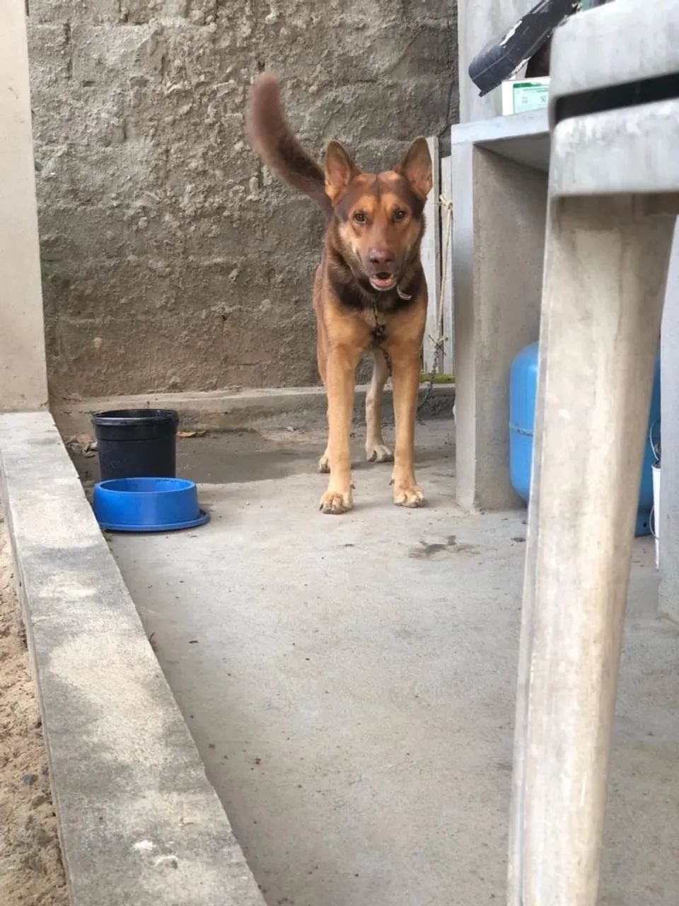 Namorada para o THOR - Foto 3