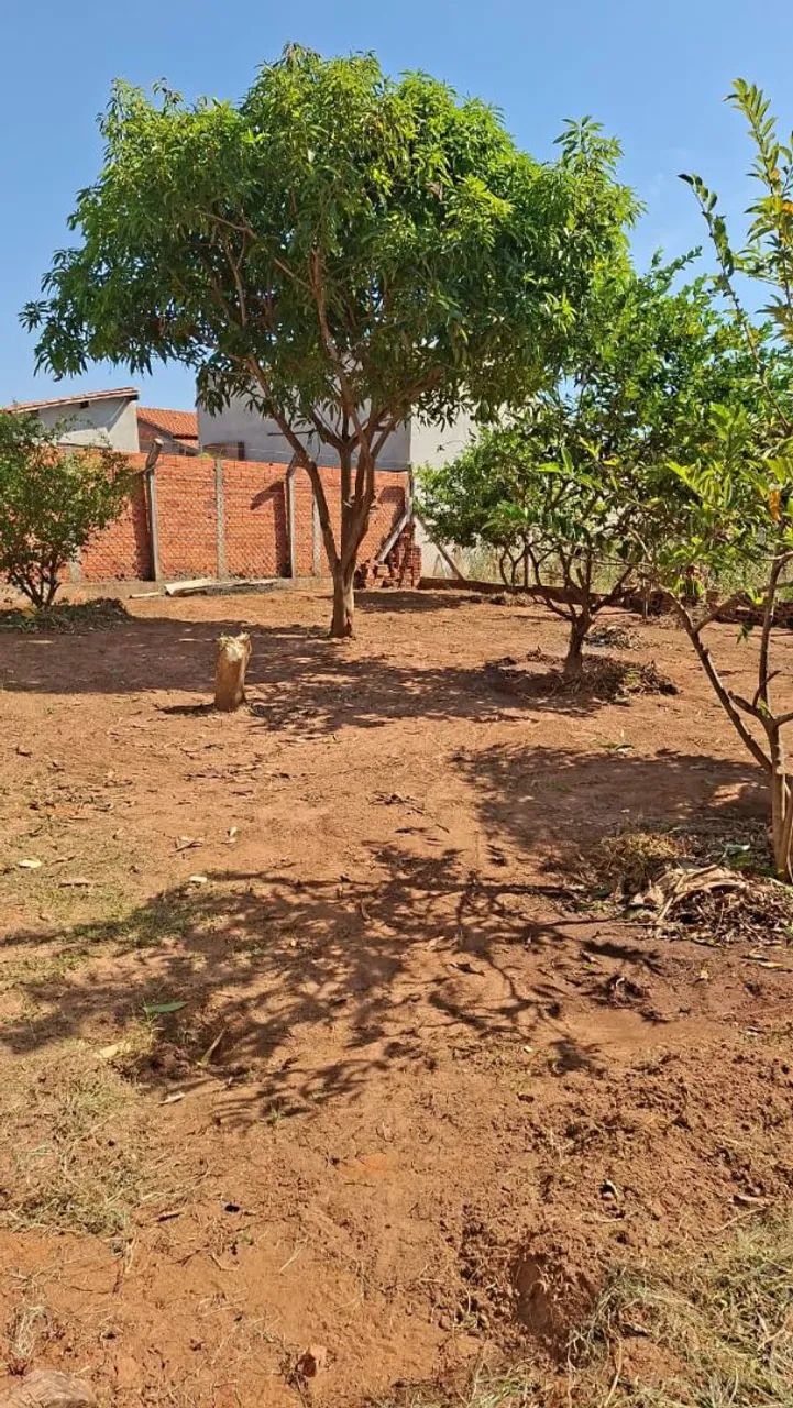 ? Vende-se Terreno com Casa - Excelente Oportunidade!   - Foto 4