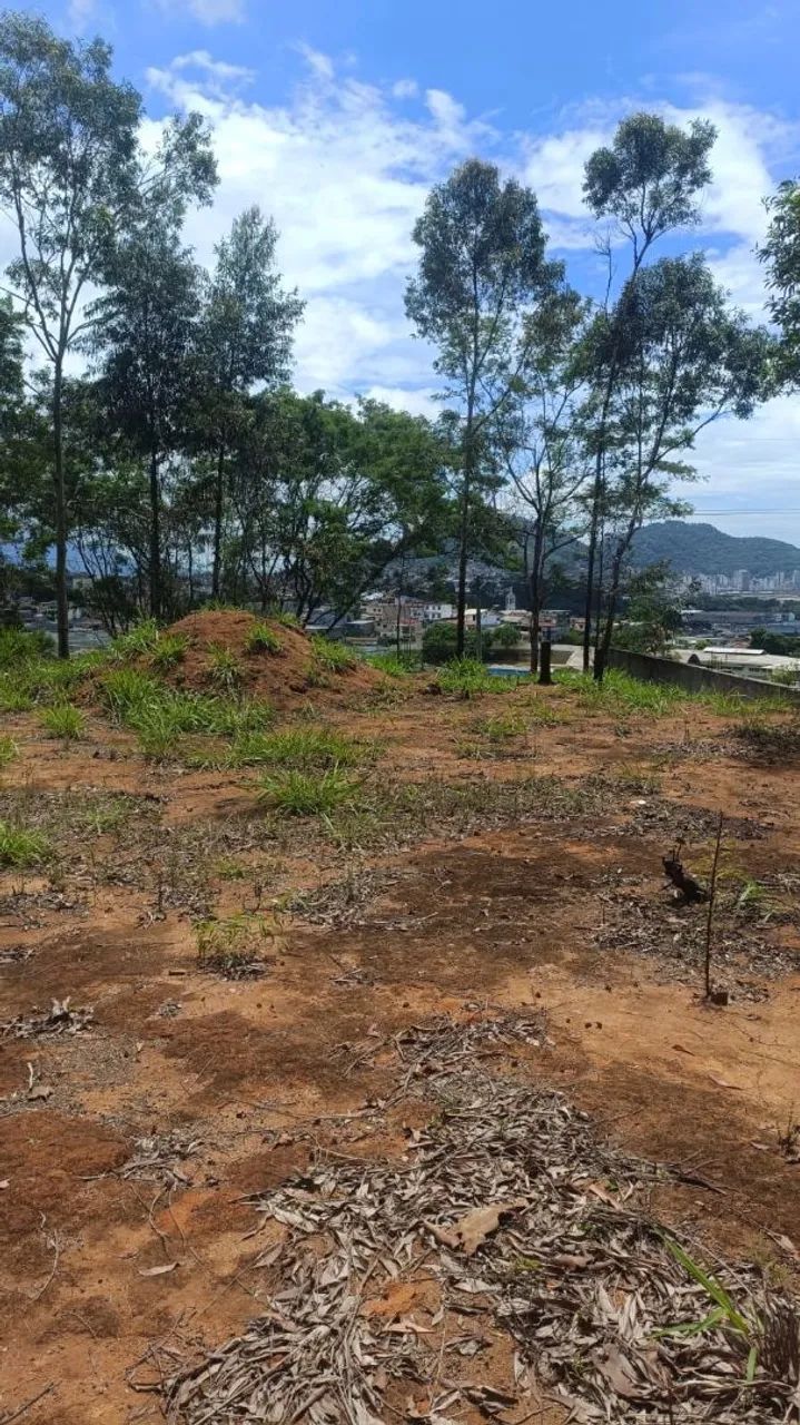 Terreno a venda em jardim América  - Foto 3