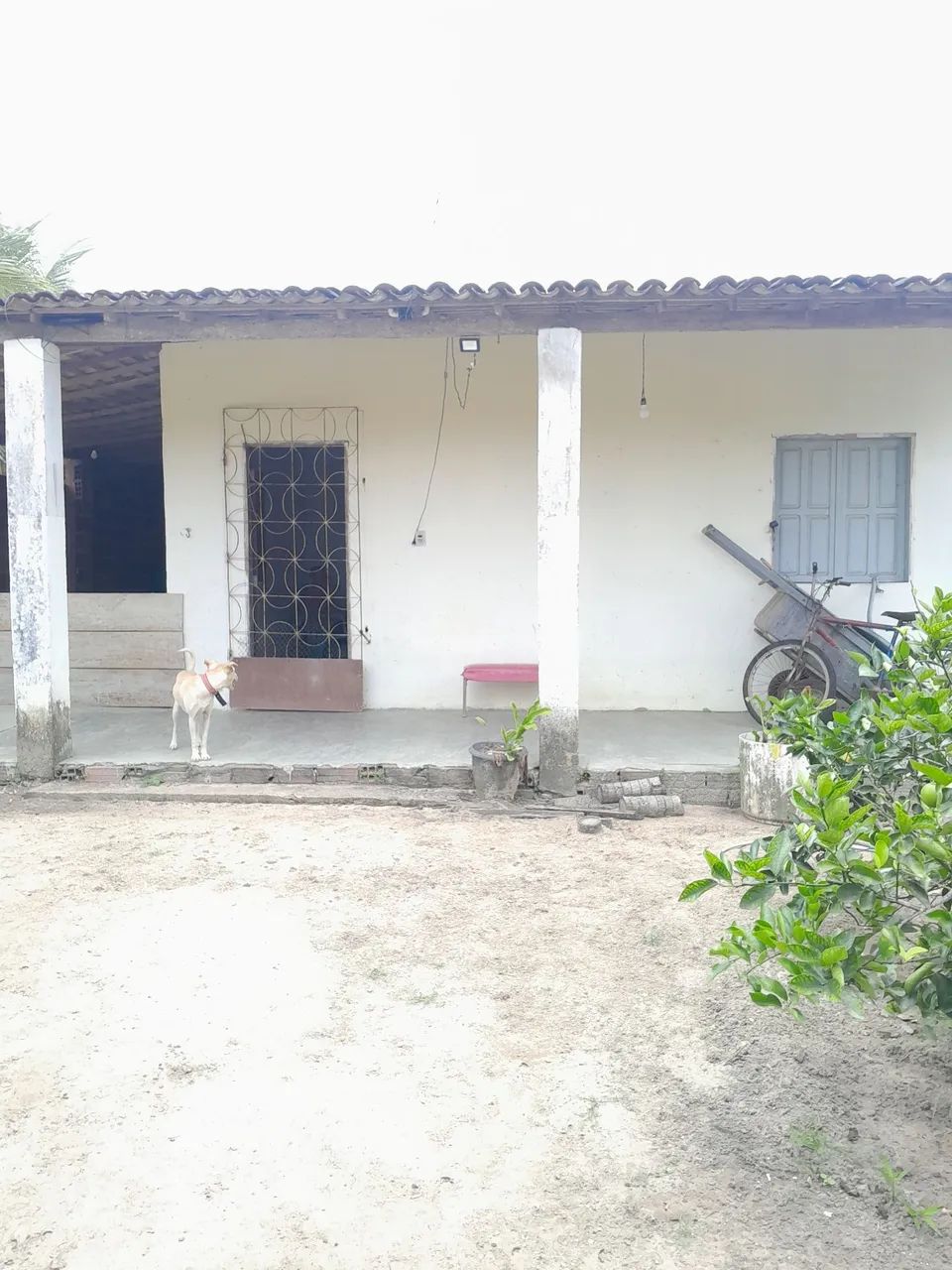 Chacara pra vender e trocar  - Foto 3