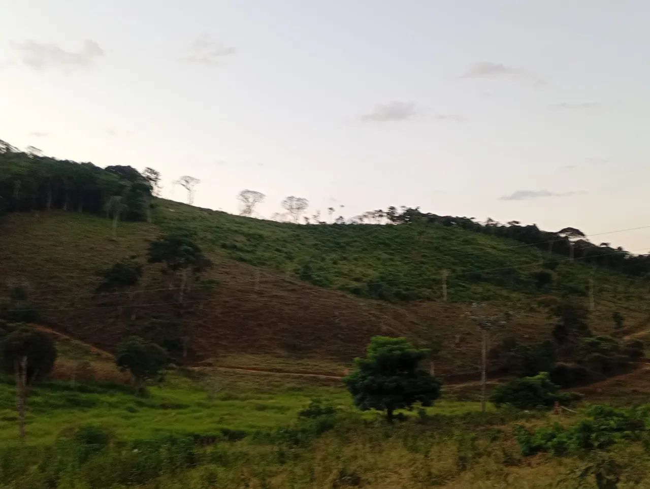 Terreno com pastagem  - Foto 3