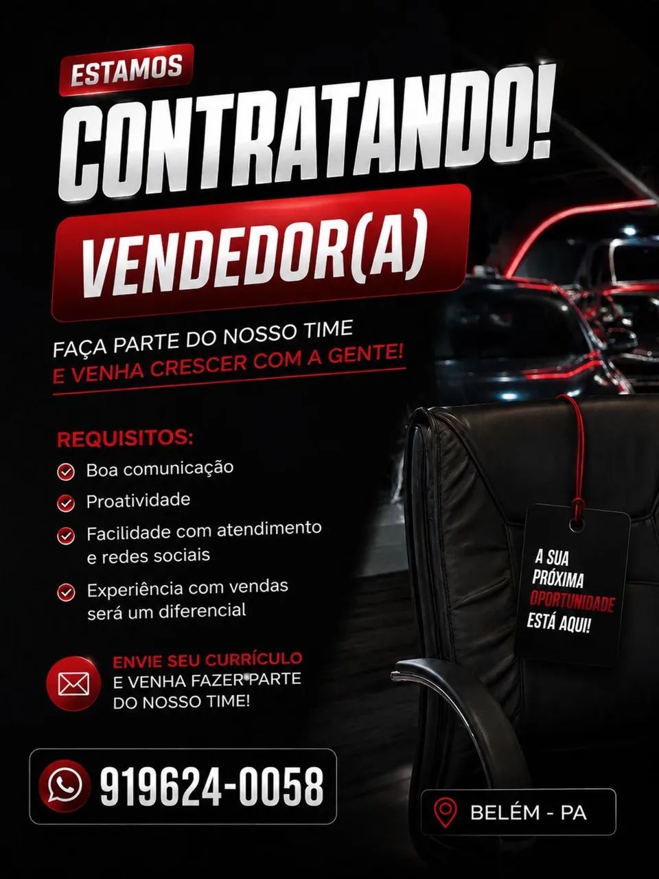 Vendedor de Carros 