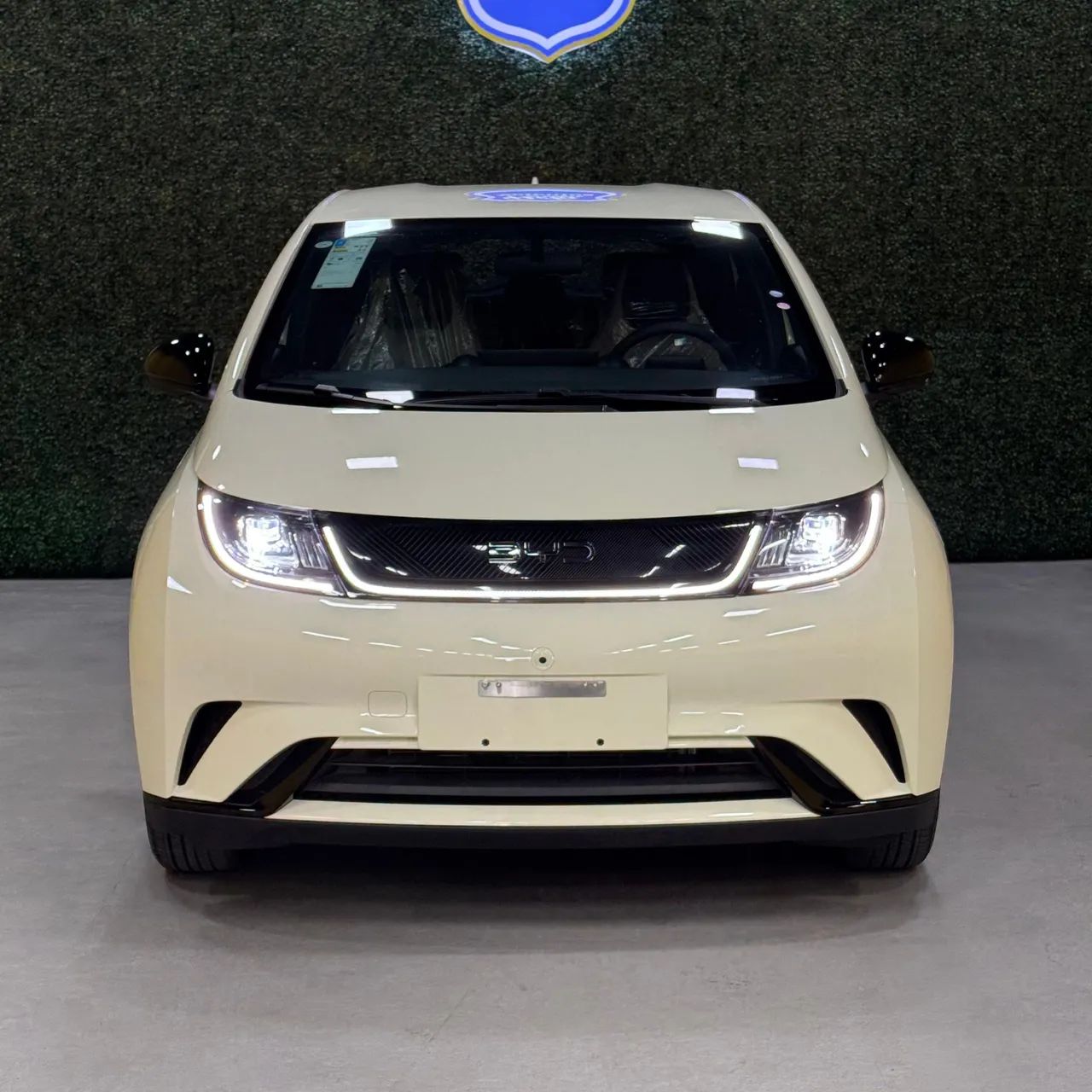 BYD Dolphin GS (Elétrico) 2027 - Foto 3