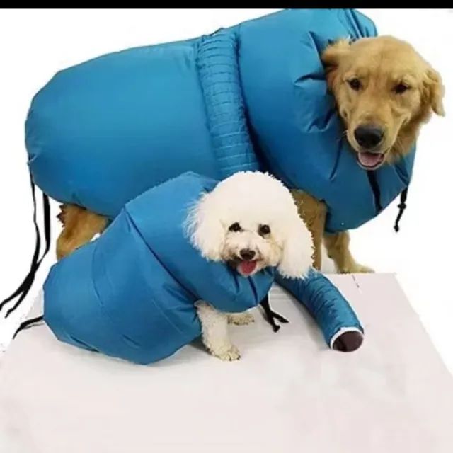 Kit Escova Secadora + Dog Dryer  - Foto 4