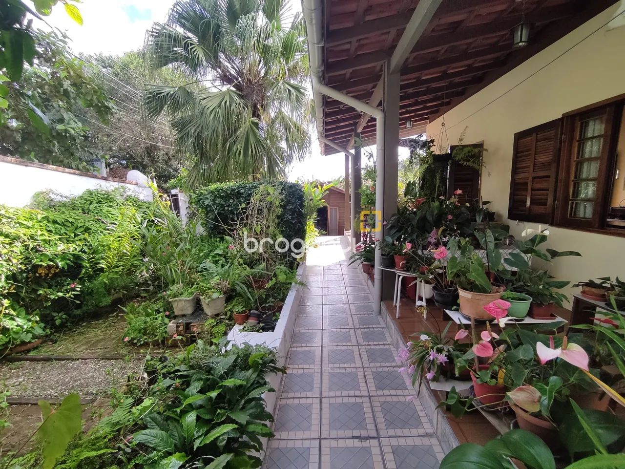 BROGNOLI VENDE - CASA RESIDENCIAL COM 5 DORMITÓRIOS, SENDO 2 SUÍTES - SAMBAQUI - Foto 4