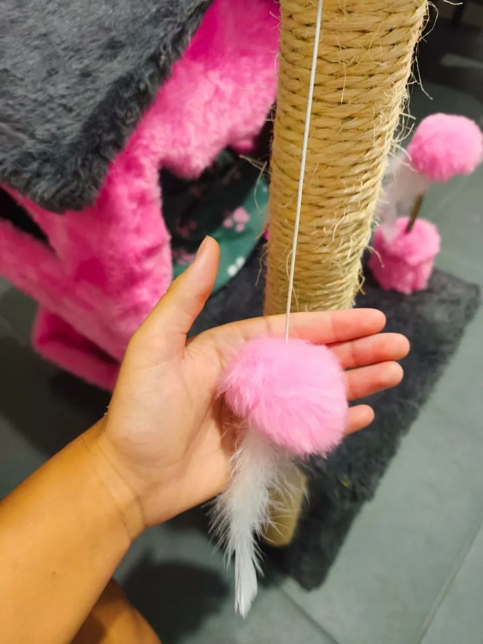 Casinha para gato65126370342657124
