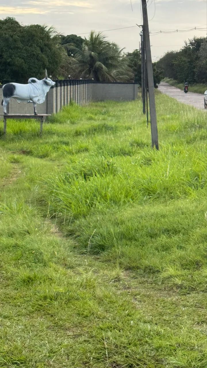 Granja 