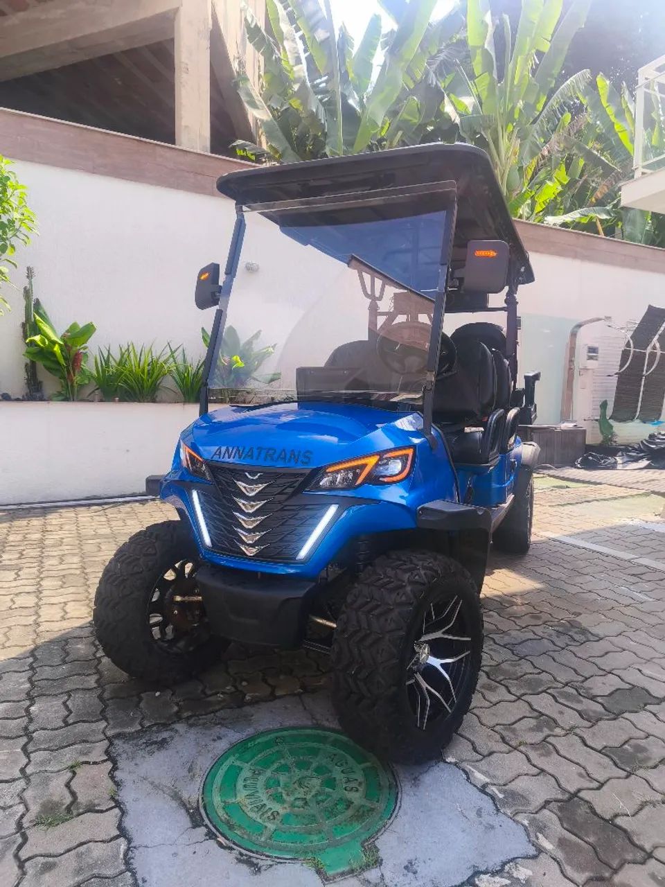 Carrinho de golf premium