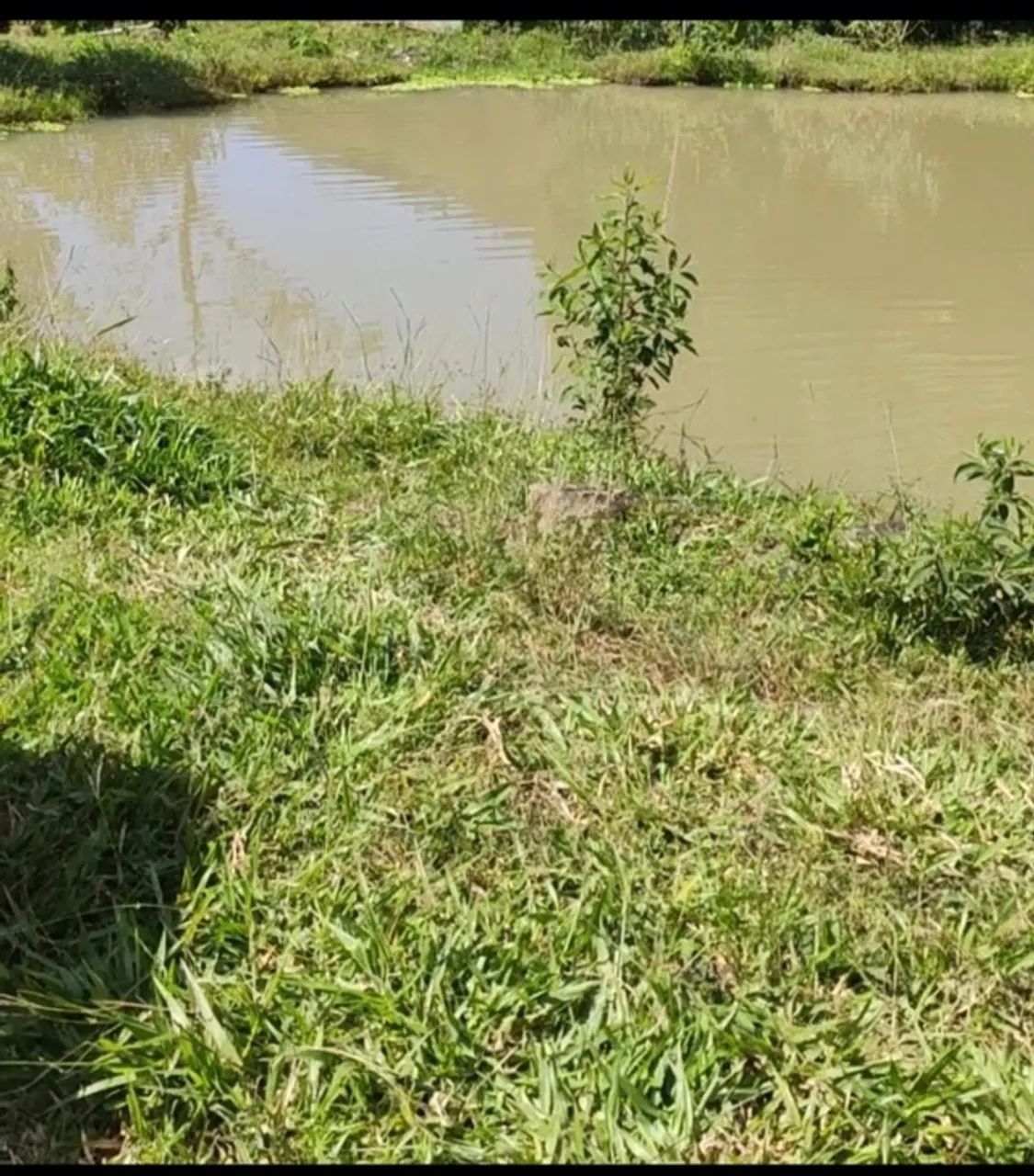 Terreno com Cachoeira - Foto 4