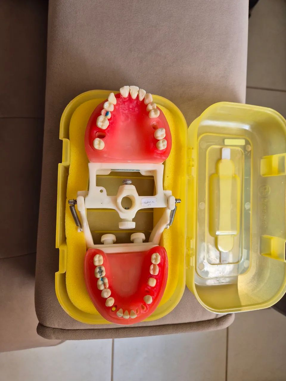 manequim dentística pronew - Foto 3