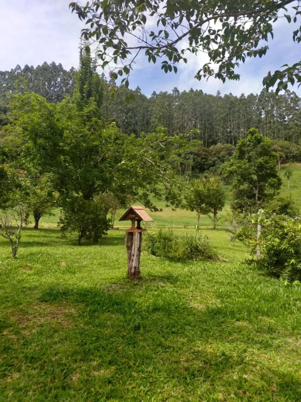 Sitio Rio do Poncho - São Bonifácio 3hectares - Foto 2