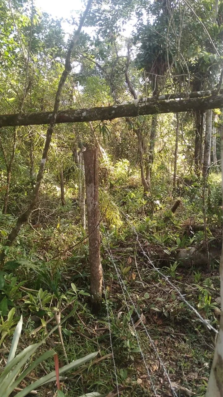 2 TERRENOS ITAPOÁ - Foto 2