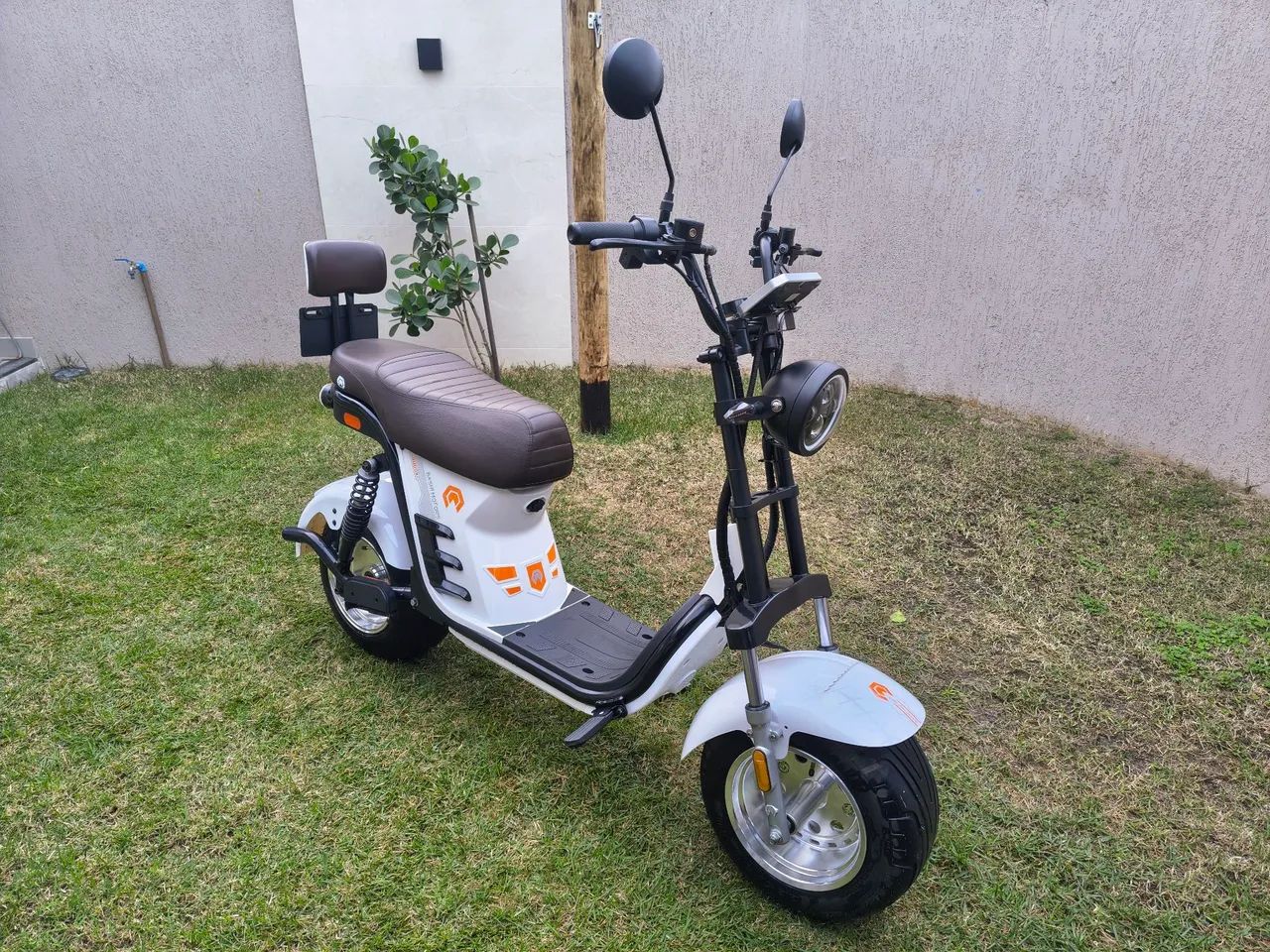 Bashi ebuddy x12