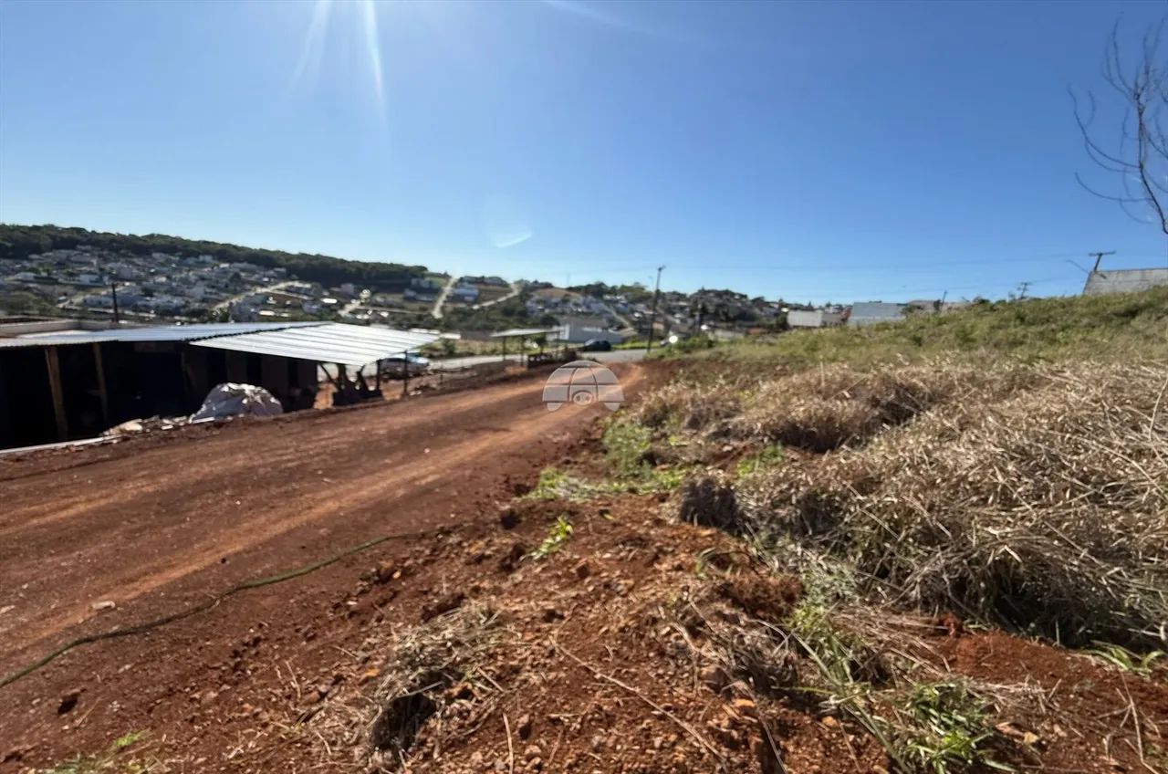 Vendas Terreno Pato Branco PR - Foto 5