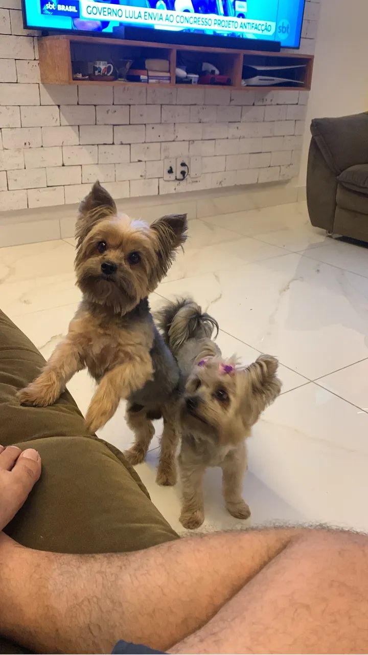 Procura namorada  - Foto 3