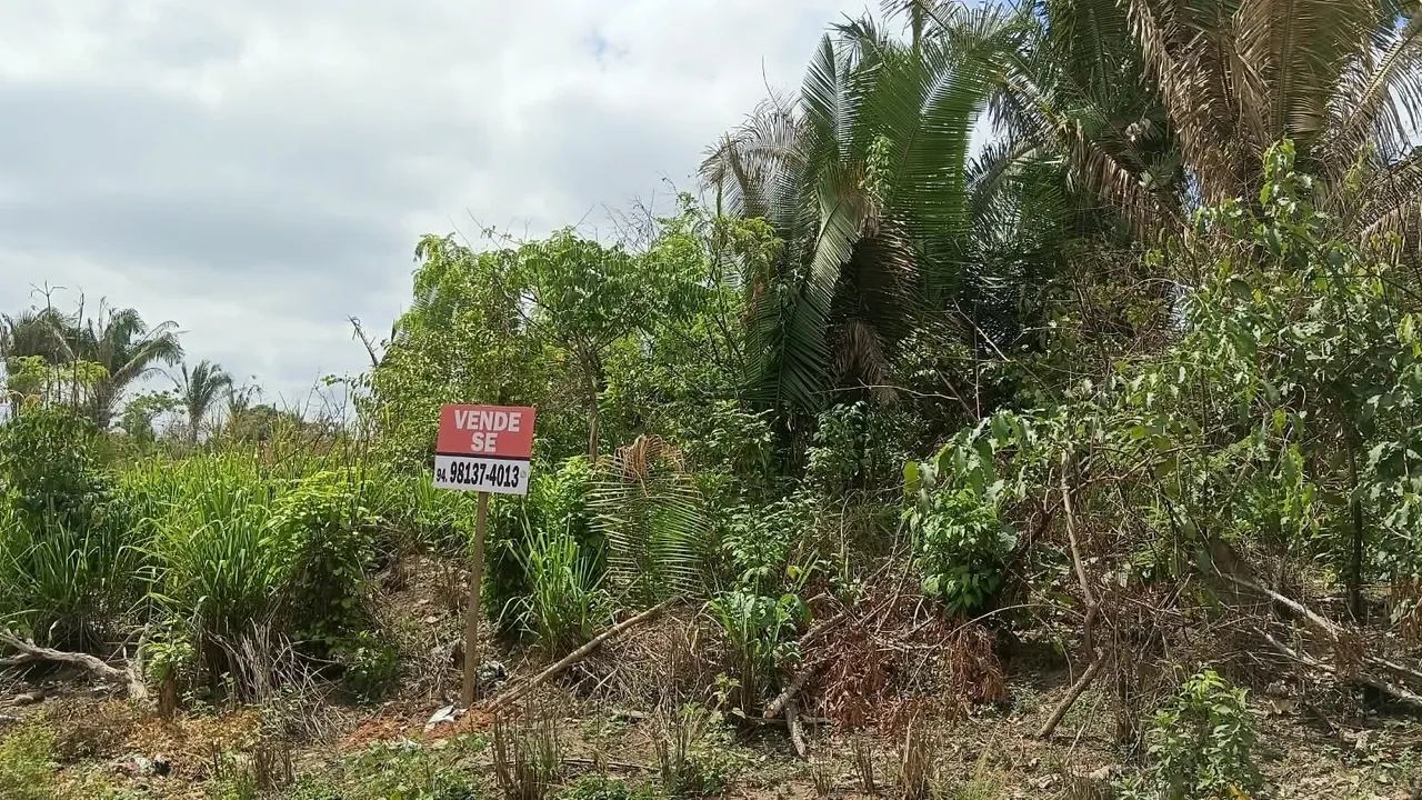 Lote Palmares 2 - 900 metros quadrados 