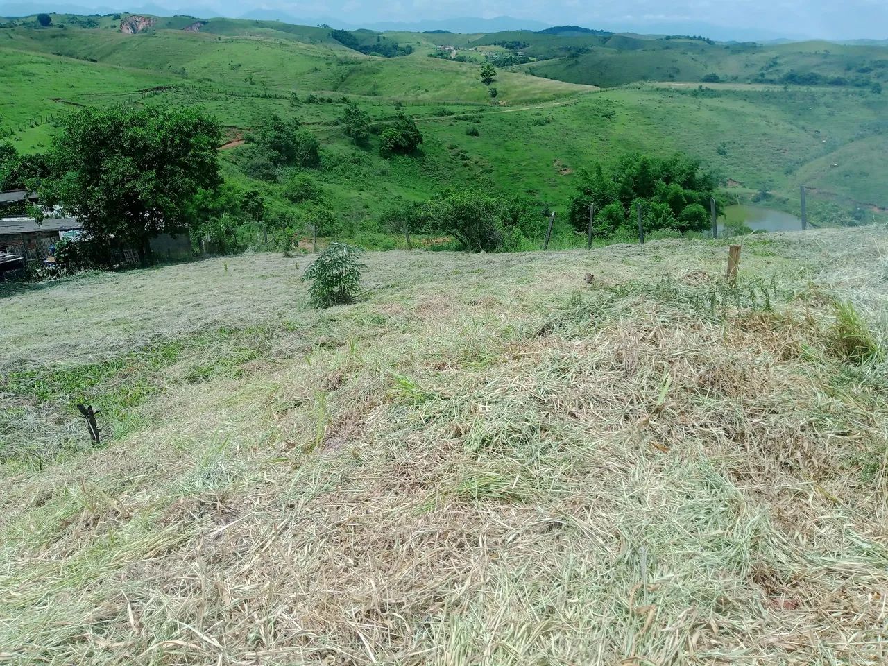 Serviços com roçadeira e motoserra. - Foto 2