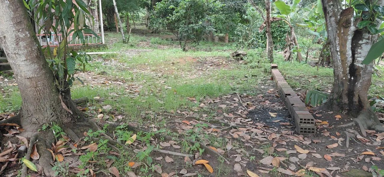 Vende-se Sitio em Flexeiras  - Foto 4