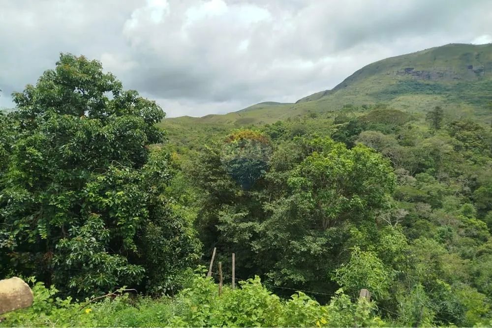 Fazenda de 21.400 m² na Serra da Canastra - Foto 5