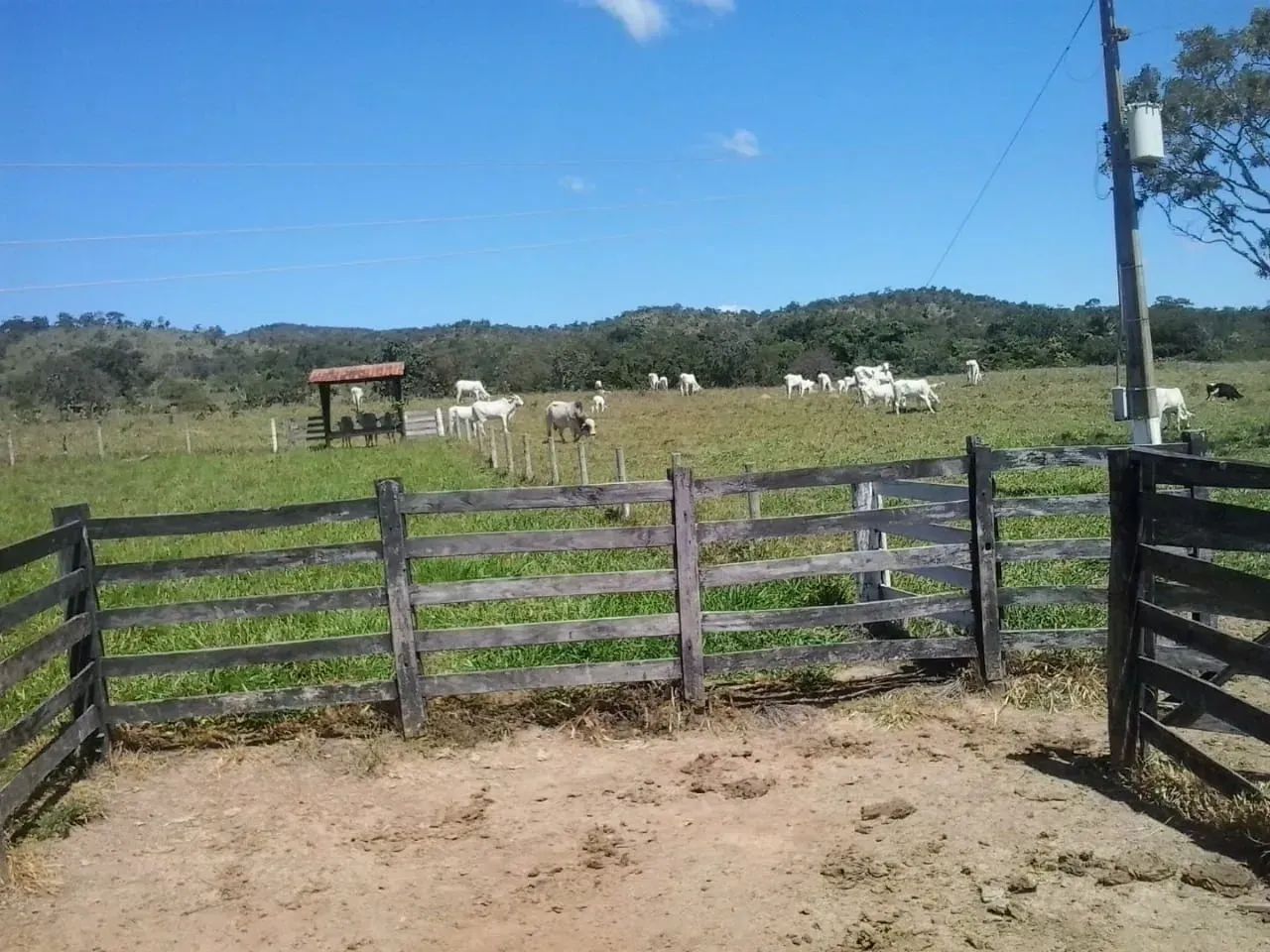 Fazenda com 40 alqueires em Goianésia - Foto 3