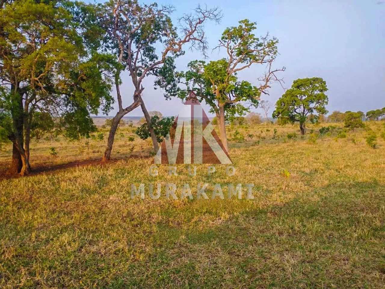 FAZENDA - CAMPO GRANDE - MS - Foto 2