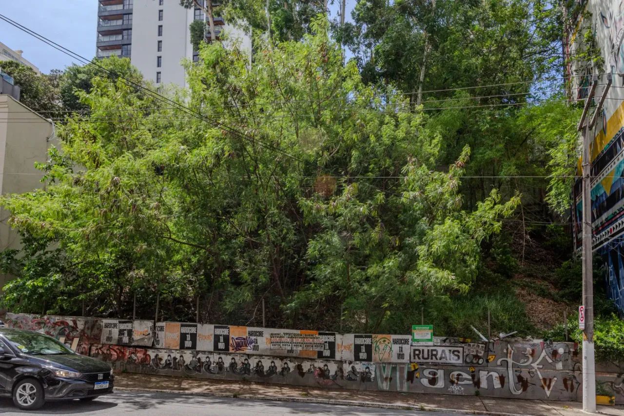 Terreno - Pinheiros - 477m² - Foto 3
