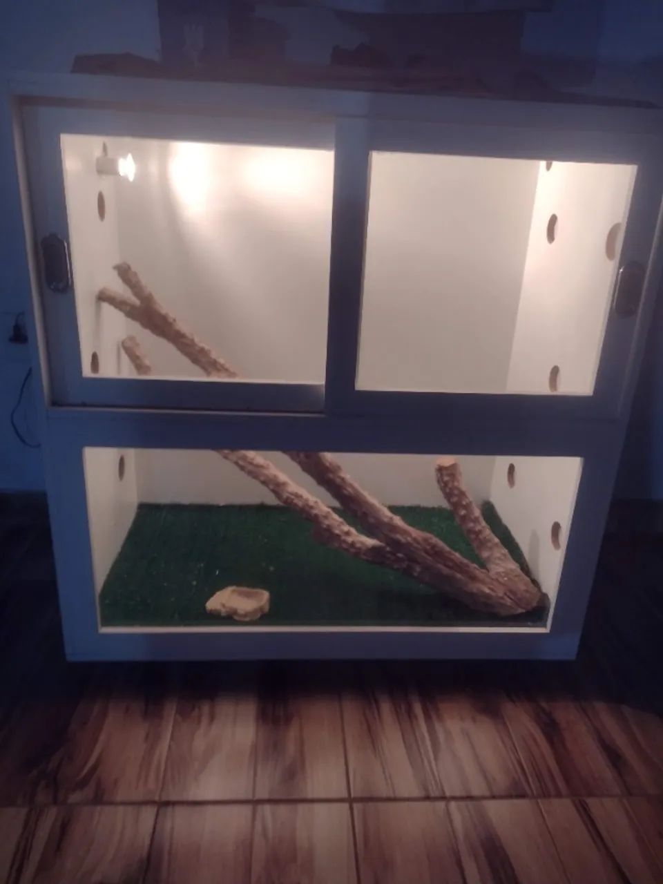 Terrário  - Foto 2