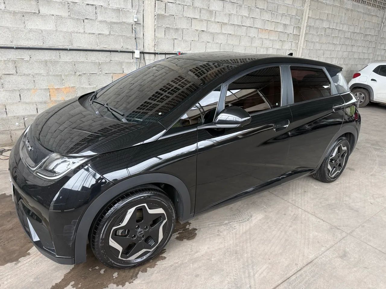 BYD Dolphin EV (Elétrico) 2024