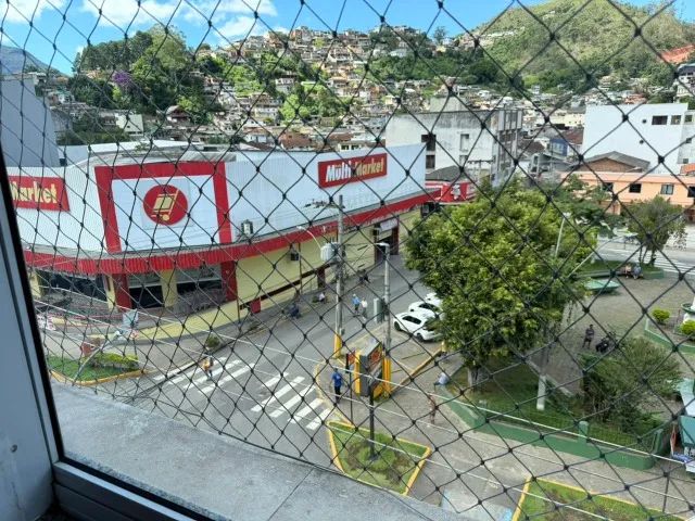 Foto - Teresópolis - Paineira