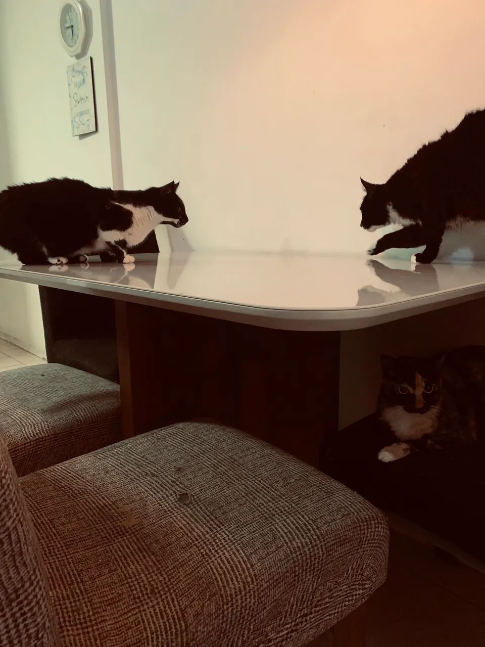 Mesa de jantar  - Foto 2