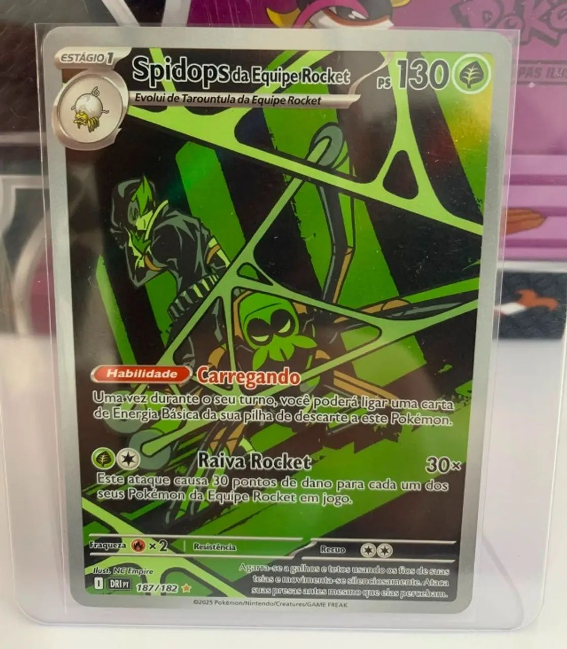Pokémon TCG - Lote Master Equipe Rocket (Mewtwo - Spidops)