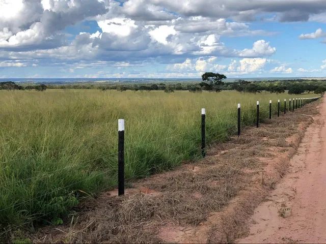 Fazenda com 2105 hectares - Foto 2