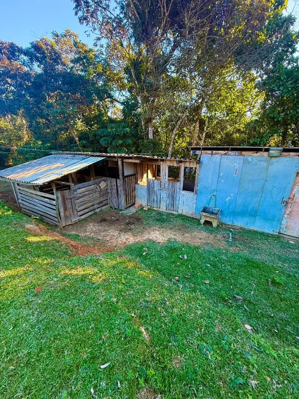 Sítio a venda em MAJOR GERCINO SC  - Foto 4