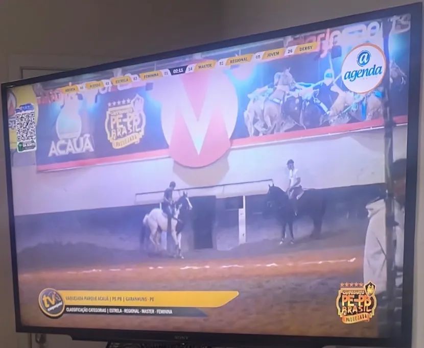 Tc Sony Bravia 48 pol - Foto 3
