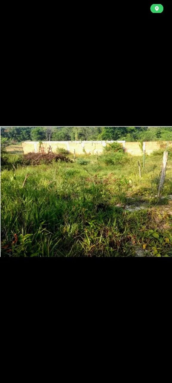 Terreno com 2.250 metros quadrados  - Foto 2