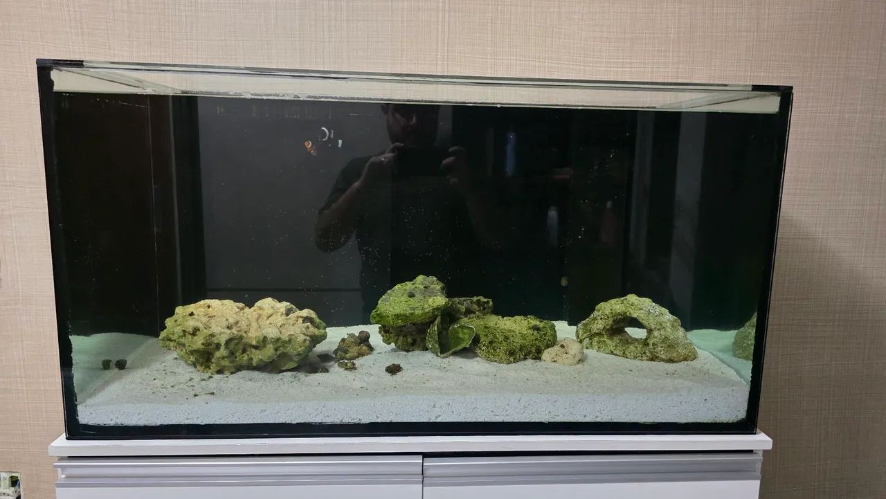 Aquário Marinho 250L Completo  - Foto 4