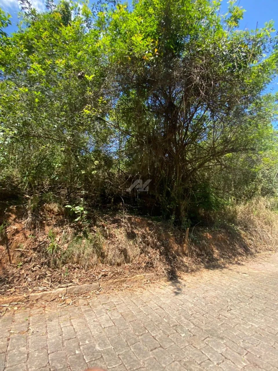terreno - Sousas - Campinas - Foto 5