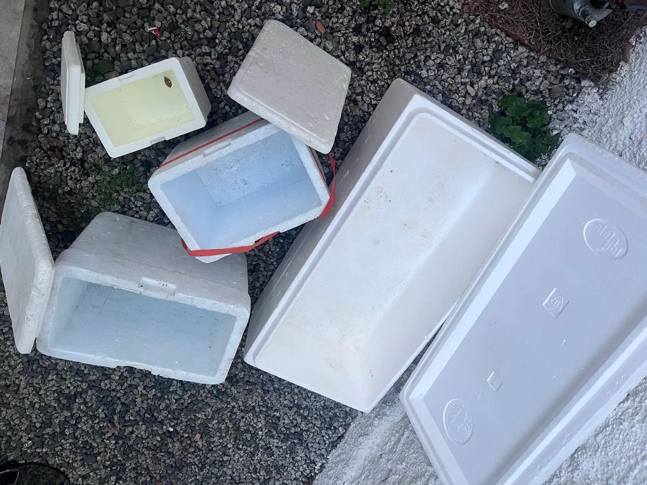 Caixas de isopor - Foto 2