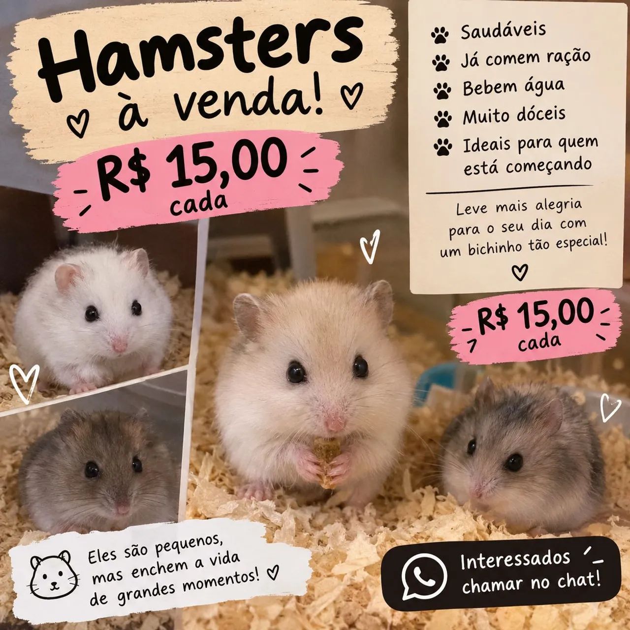 Hamster 