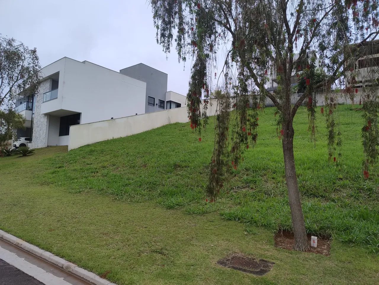Lote / Terreno - São Pedro - Foto 5