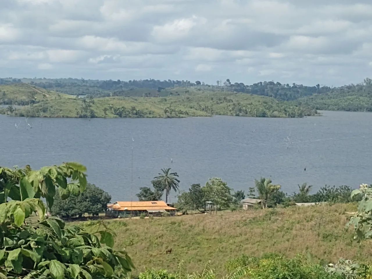 Vende-se ilha fazenda  - Foto 5
