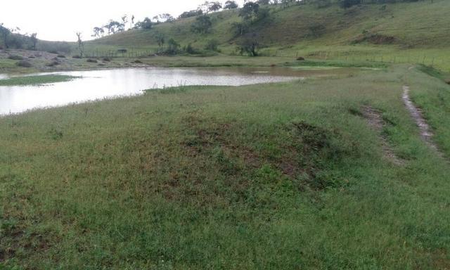 Propriedade com 2 casas de 13 hectares, em Sairé, 700 mil - Foto 19