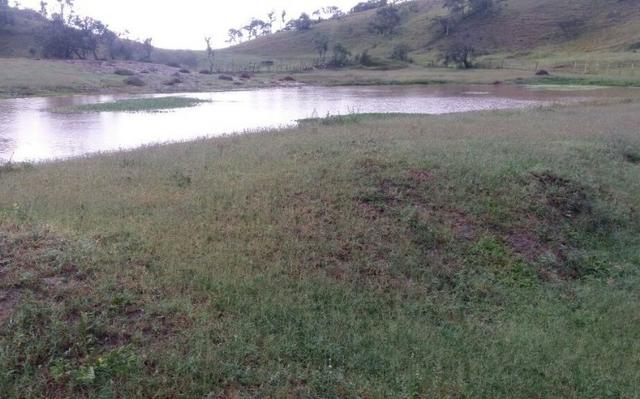 Propriedade com 2 casas de 13 hectares, em Sairé, 700 mil - Foto 20