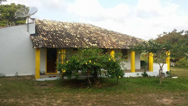 Fazenda em Dom Marcolino - Maxaranguape, RN - Foto 10