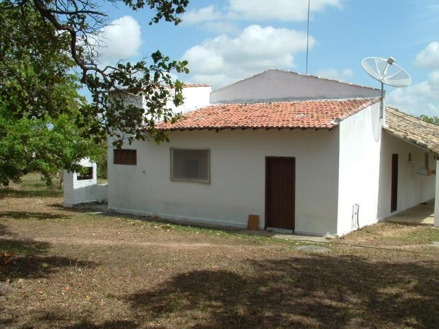 Fazenda em Dom Marcolino - Maxaranguape, RN - Foto 6