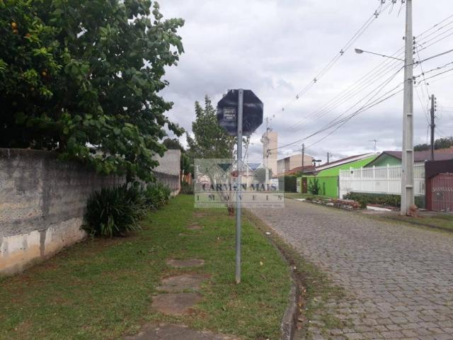 Selecione residencial à venda. - Foto 7