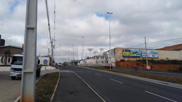 Terreno residencial à venda, colônia rio grande, são josé dos pinhais - te0023. - Foto 14